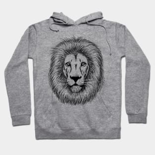 Lion Head Sketch Hoodie